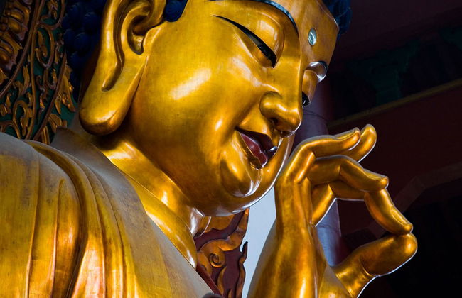 Escursione giornaliera privata alla scoperta dei luoghi più importanti di Hangzhou - Foto 8