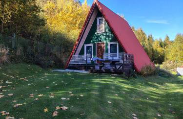 Kolorowe Wzgórze Zagórze - Foto 57