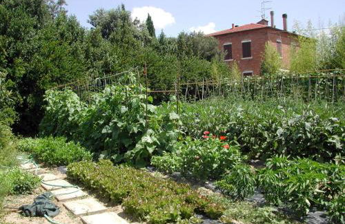 Villa La Lodola - Photo 30