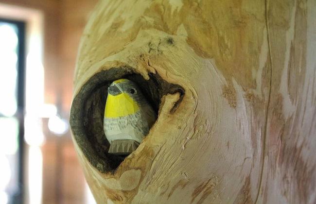 Tuxedo Falls - Foto 32