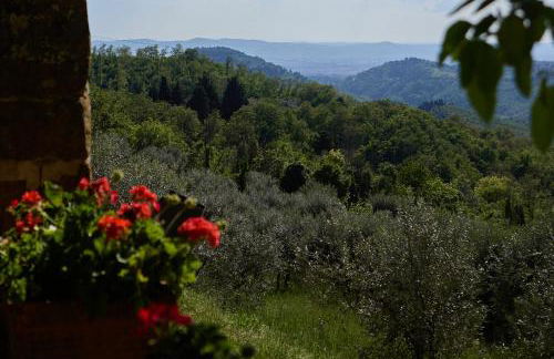 Agriturismo Fattoria Poggio di Fiesole - Foto 60