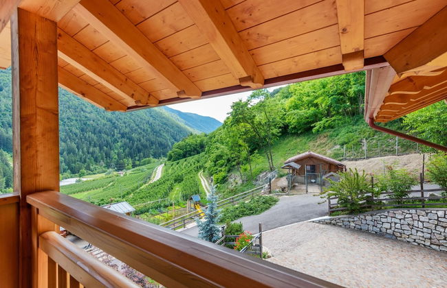 Accommodation With Wellness Center, in Val di Sole - Foto 39