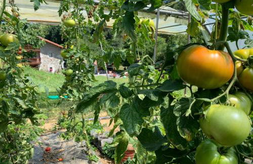 Agroturismo Urresti - Foto 63