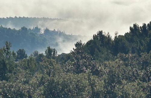 Les goûts et les couleurs - Foto 7