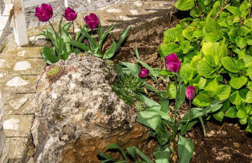 Apartment One - Foto 47