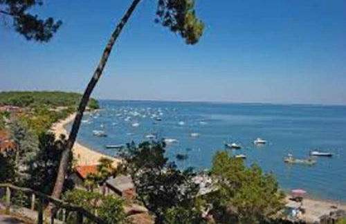 Charmante villa au Cap Ferret à 2 pas du Bassin - Foto 11