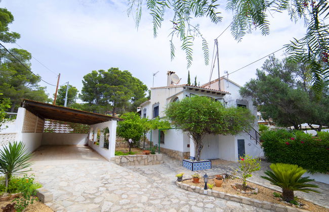 La Cigarra - Foto 21