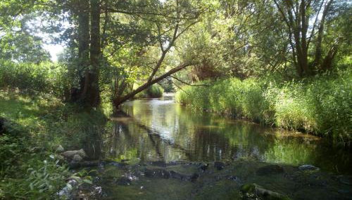 PRZYSTAŃ NAD BOBREM z Balią i Sauną - Foto 5