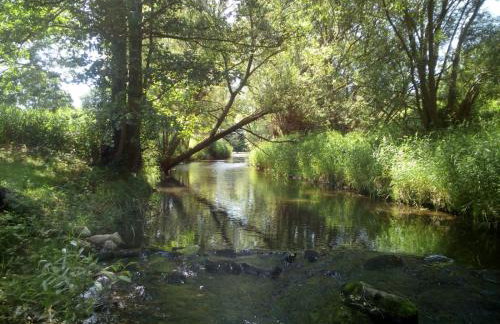 PRZYSTAŃ NAD BOBREM z Balią i Sauną - Foto 5
