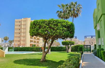 JUNCOS y LIRIOS, Playa de Xeraco - Foto 32