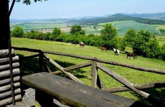 Ferienhof Zum Rössberg - Foto 17