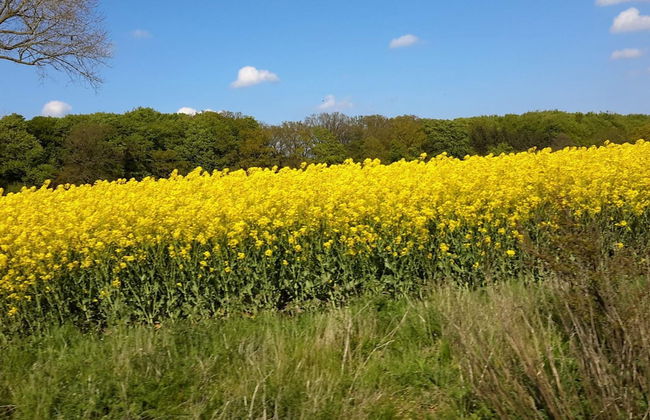 7 Person Holiday Home in Svendborg - Foto 20