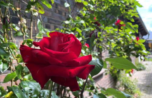 Lehdsche Heubuchten - Foto 74