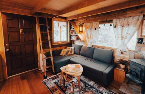 Craftsman Cabin with Columbia River views - Foto 20