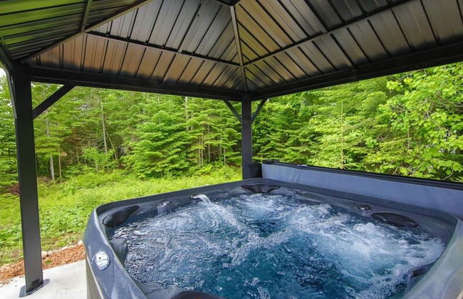 Sommet- Pet Friendly- Spa- SKI IN SKI OUT St-c me - Foto 2