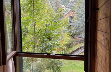 Eth Estel de Salardú--Casa con vistas de ensueño-Fibra Optica,5TV-Gran Chimenea - Foto 46