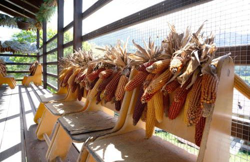 Agritur La Gemma - Foto 20