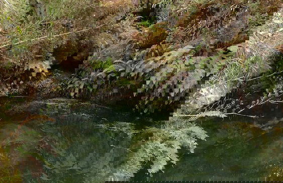 Villa Pajon Eco Lodge - Foto 60