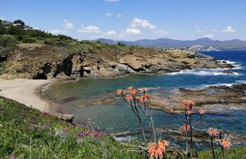 Casa Platja d'en Robert - Foto 16