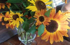 agrohaczów zarzeką apartament pod orzechem - Foto 13