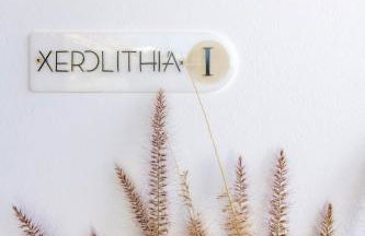 XEROLITHIA I - Foto 21