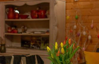 Chaty Anety Domki Całoroczne - Foto 35