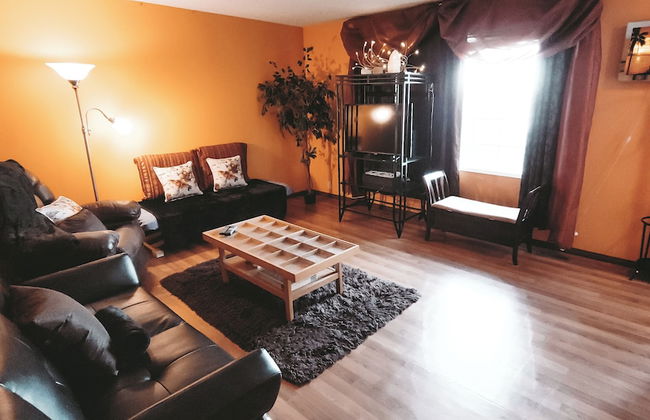 The Canary 223 - Photo 10