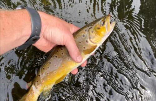 Lakefront Cottage Fully Equipped with Excellent Location in Saint Croix Falls, Wisconsin - Foto 36