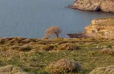 Galina Holiday Home - Photo 4