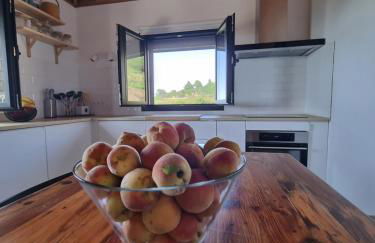 villa los vaqueros - Foto 11