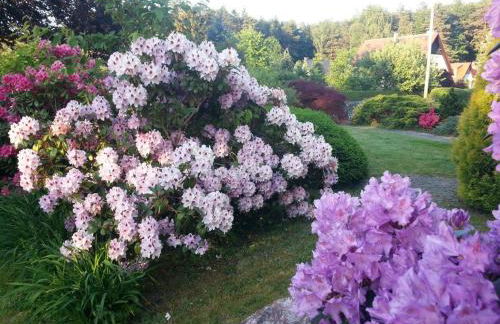 Ferienhaus Helmig - Foto 7