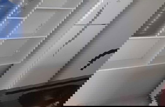 Joais do Nordeste - Foto 13