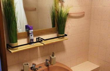 Art`Rio - Casa no Rio em Dornes - Foto 26