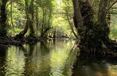La Casa Verde de Sanabria de 3 habitaciones y 2 baños - Foto 33
