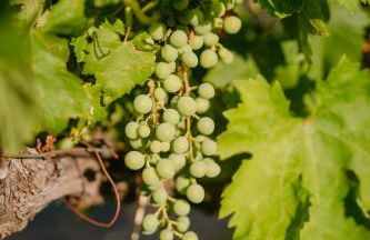 Casa Malcata by Portus Alacer - Quinta Fonte Fria - Foto 74