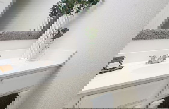 Windsor Phoenix - Foto 23