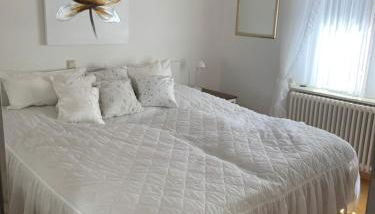 FeWo Sulzbachtal, Nähe Europa-Park, Rulantica, Schwarzwald, Feldberg - Foto 2