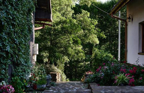 Agroturystyka Akacjowe Zacisze - Foto 73