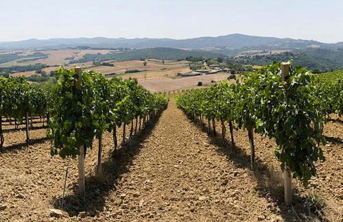 Podere Schioppello Casale con appartamenti privati - Foto 63