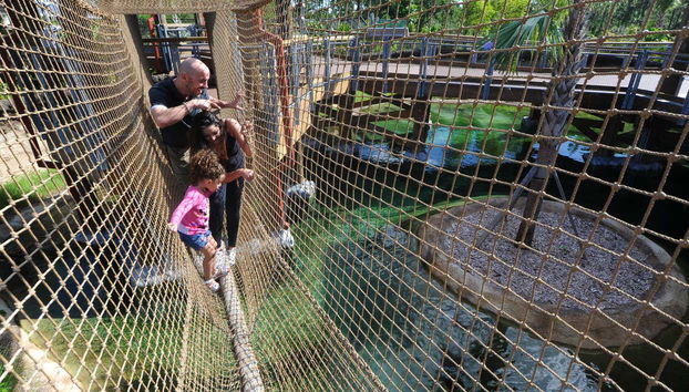 Famille profitant du Zoo de Miami