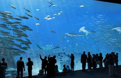 DRINOU HOUSE - Foto 19