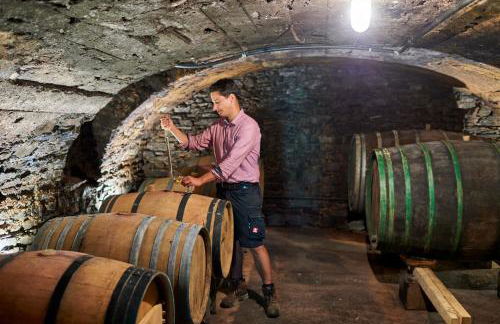 Ferienweingut Willems - Foto 15