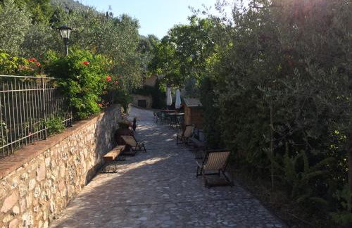 Il renaiolo - Foto 11