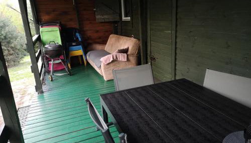 domki nad jeziorem, las, do 10 osób jezioro Wilczyńskie Budzisławskie - domek letniskowy osobno ogrodzony, ogrzewany mile widziane pieski, zwierzeta- wielkopolska, 62-550 Zygmuntowo gm Wilczyn - Foto 4