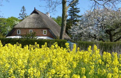 Ferienwohungen im Feriengarten DG - Foto 6