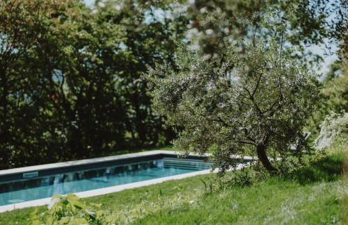 Corte Cavolo - Foto 13