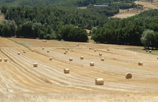 Farmhouse With Pool - Foto 29