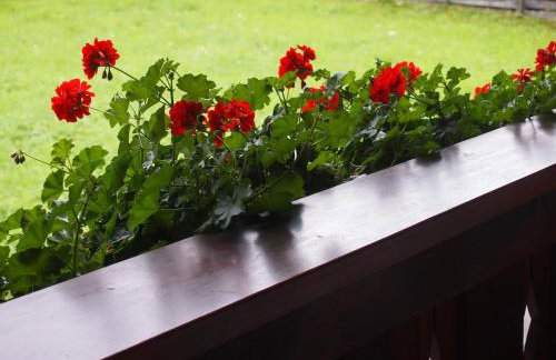 Marie-Theres - Foto 51