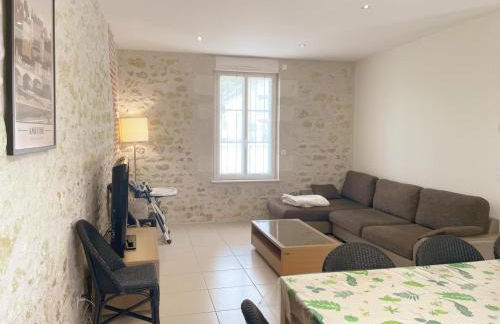 Gîte en Val de Loire: confort, jardin, parking et WiFi inclus - FR-1-491-452 - Foto 9