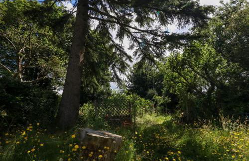 Little Timbers - Foto 48